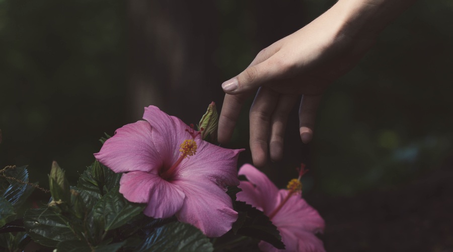 Življenje vam vedno ponudi tisto, kar v tem trenutku potrebujete (foto: Unsplash.com)