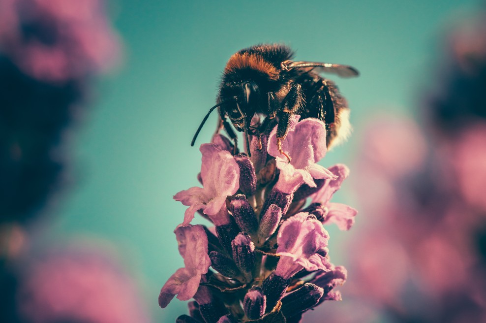 Tedenski horoskop od 6. do 12. 5. 2019 (foto: Unsplash.com)