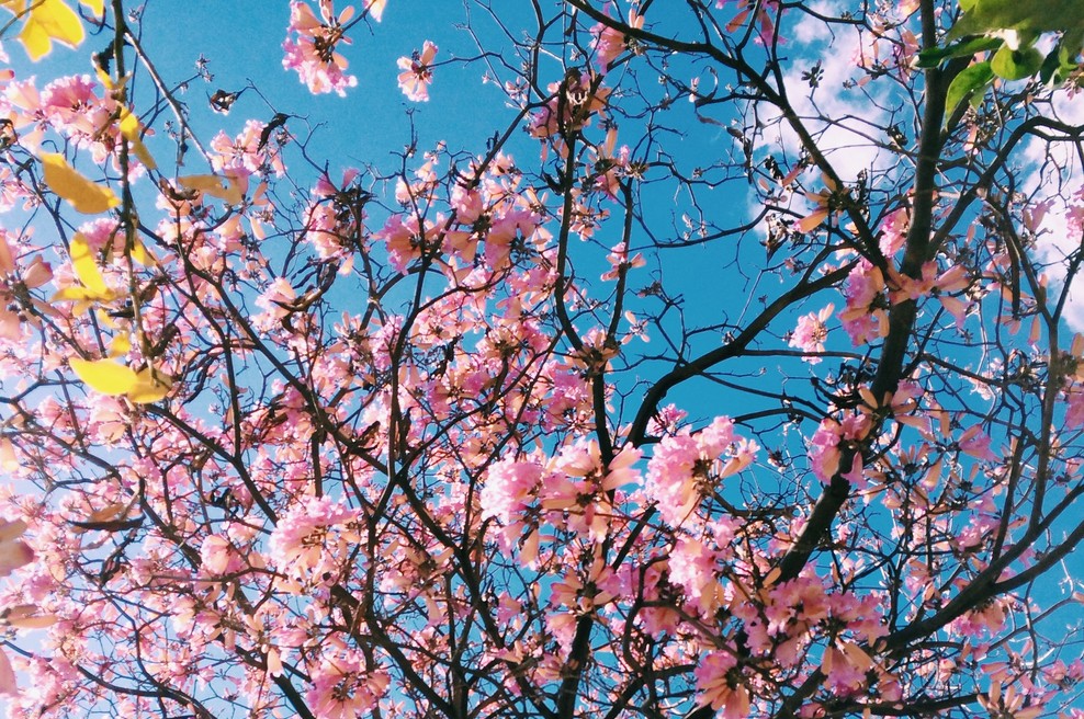 Tedenski horoskop od 13. do 19. 5. 2019 (foto: Unsplash.com)