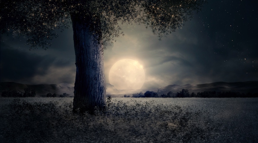Tokratna polna luna gre v globino (foto: pixabay)