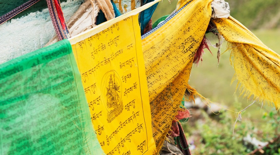 Kitajski horoskop od 27. 5.  do 2. 6. 2019 (foto: profimedia)