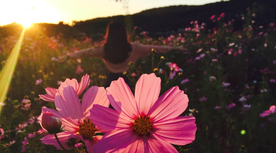 Tedenski horoskop od 10. do 16. 6. 2019 (foto: Unsplash.com)