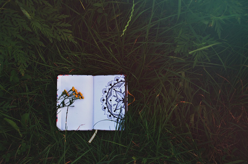 Numeroskop 10. – 16. 6. 2019: Pazite na svoje besede! (foto: Unsplash.com)