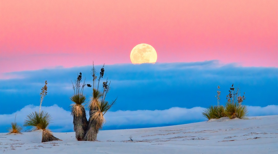 Polna luna v strelcu (17. junij) (foto: Unsplash.com)