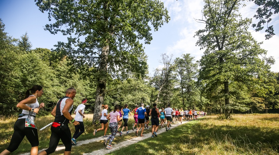 Tek v objemu narave: vabilo na priprave 8. Triglav teka (foto: foto: Anze Krze)