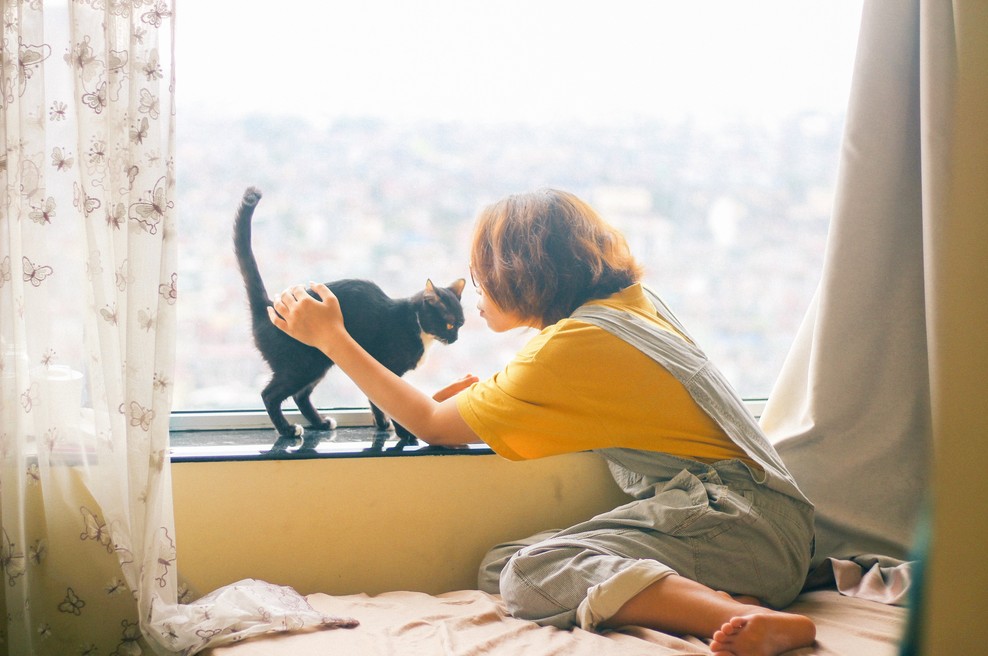 Kitajski horoskop od 3. do 8. 9. 2019 (foto: Unsplash.com)