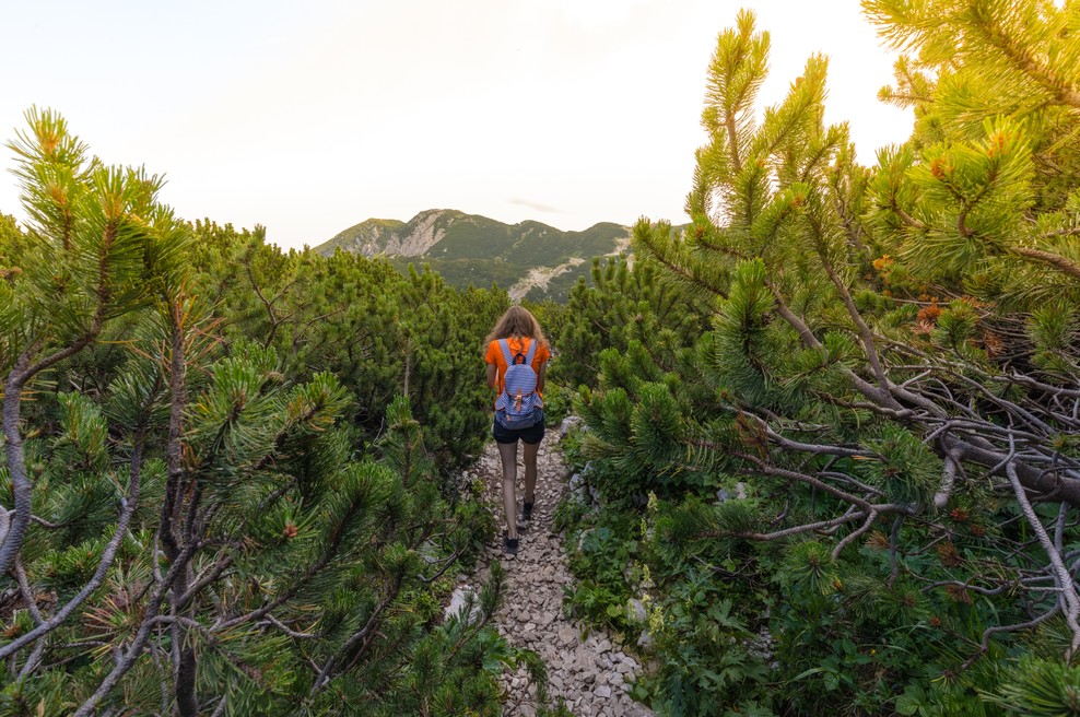 Numeroskop od 9. do 15. 9. 2019: Smer našega življenja določamo sami (foto: Unsplash.com)