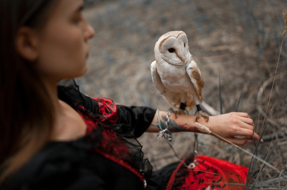Tedenski horoskop od 23. do 29. 9. 2019 (foto: profimedia)