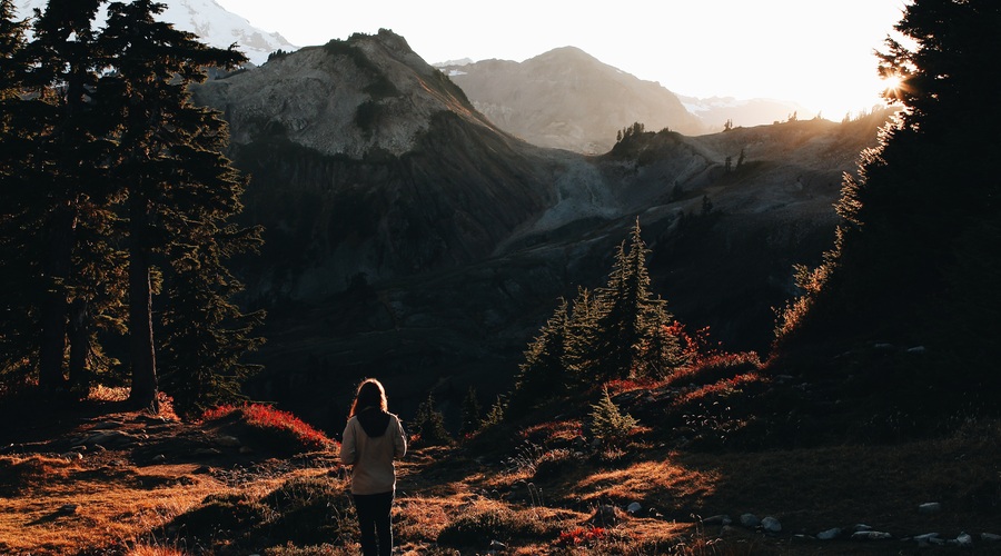 Oktobra odpiramo vrata v novo realnost (foto: Unsplash.com)