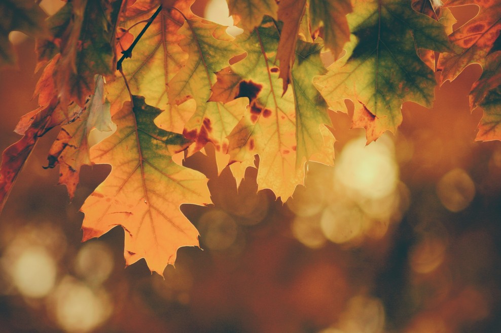V življenju se je potrebno večkrat globoko preobraziti (foto: Unsplash.com)