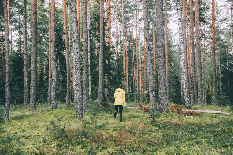 Sanja Lončar: Ko celica utrpi okvaro, jo lahko rešimo v roku enega dneva (foto: Unsplash.com)
