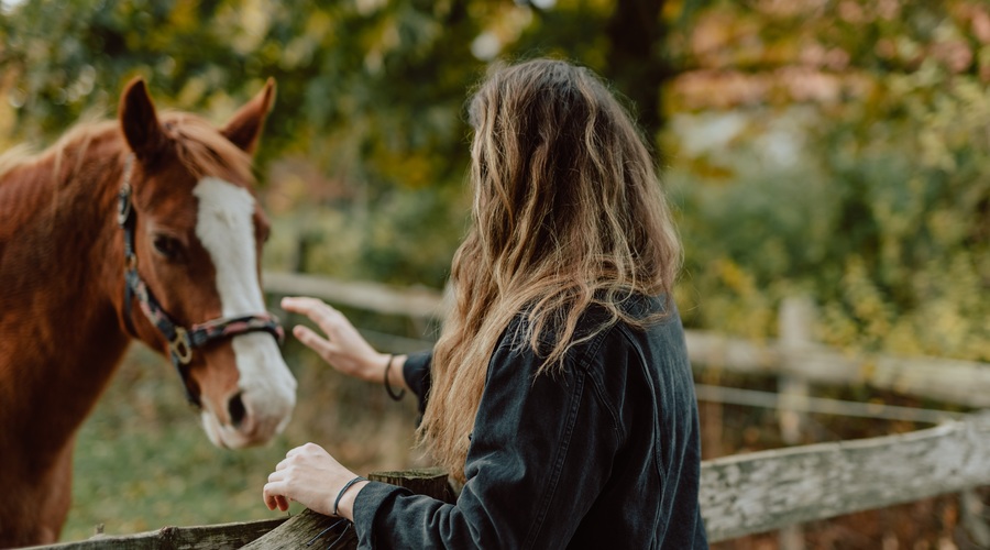Numeroskop od 7. do 13. 10. 2019: Ste sami sebi prijatelj? (foto: Unsplash.com)