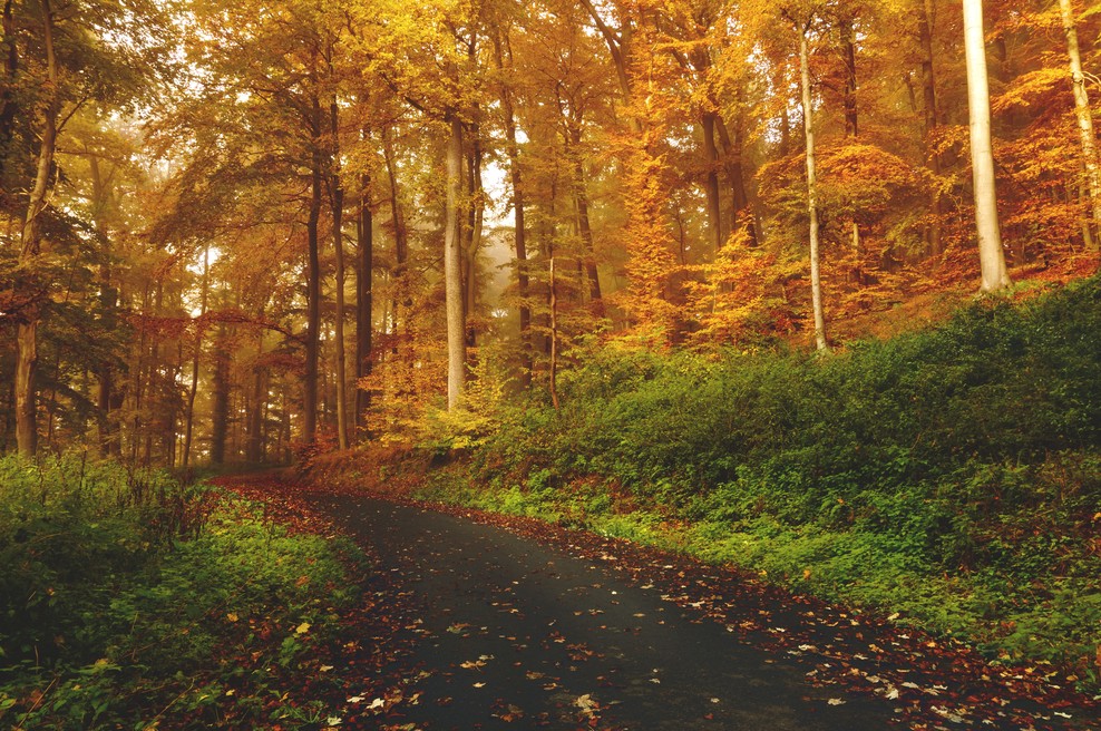 Tedenski horoskop od 28. 10. do 3. 11. 2019 (foto: Unsplash.com)