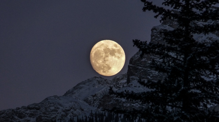 Polna luna v biku prinaša obilje (foto: Unsplash.com)