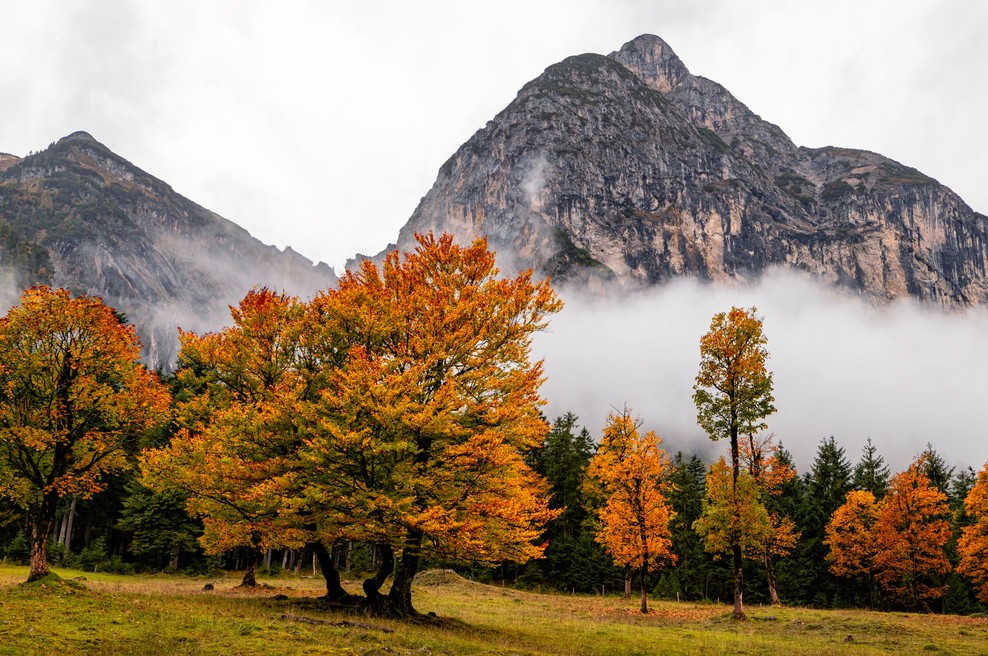 Tedenski horoskop od 11. do 17. 11. 2019 (foto: Unsplash.com)