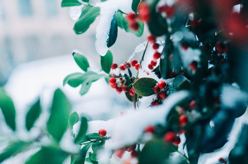 Drago leto 2019, hvala za... (foto: Unsplash.com)