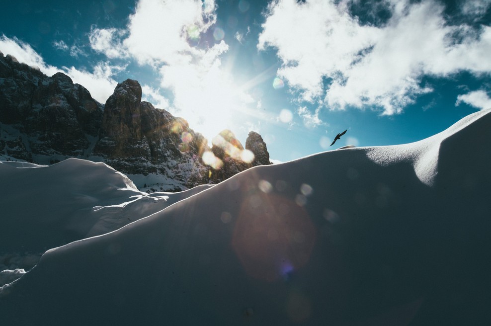 Kdaj bo čas, da poletim? (foto: Unsplash.com)