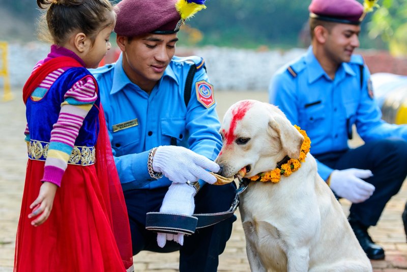 Tako v Nepalu častijo pse!