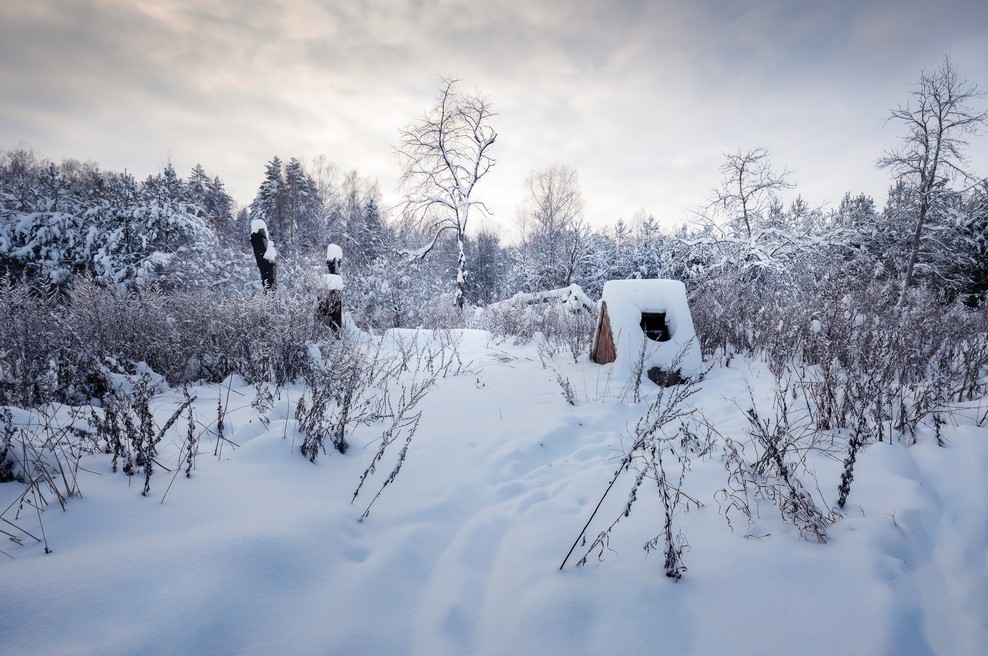 Tedenski horoskop od 6. do 12. 1. 2020 (foto: Unsplash.com)