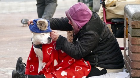 5 načinov, kako pozimi pomagati brezdomcem in živalim