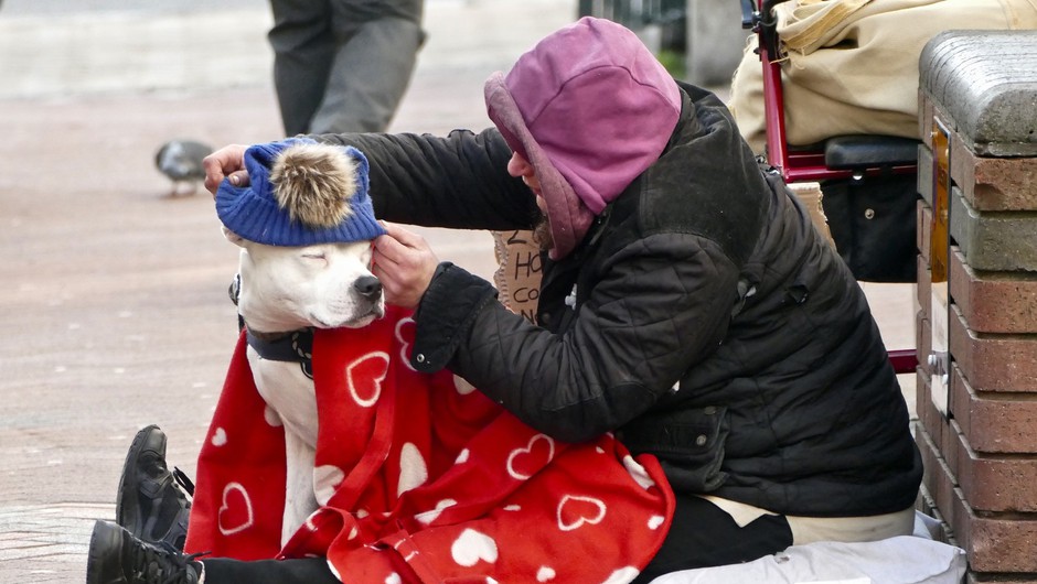 5 načinov, kako pozimi pomagati brezdomcem in živalim (foto: profimedia)