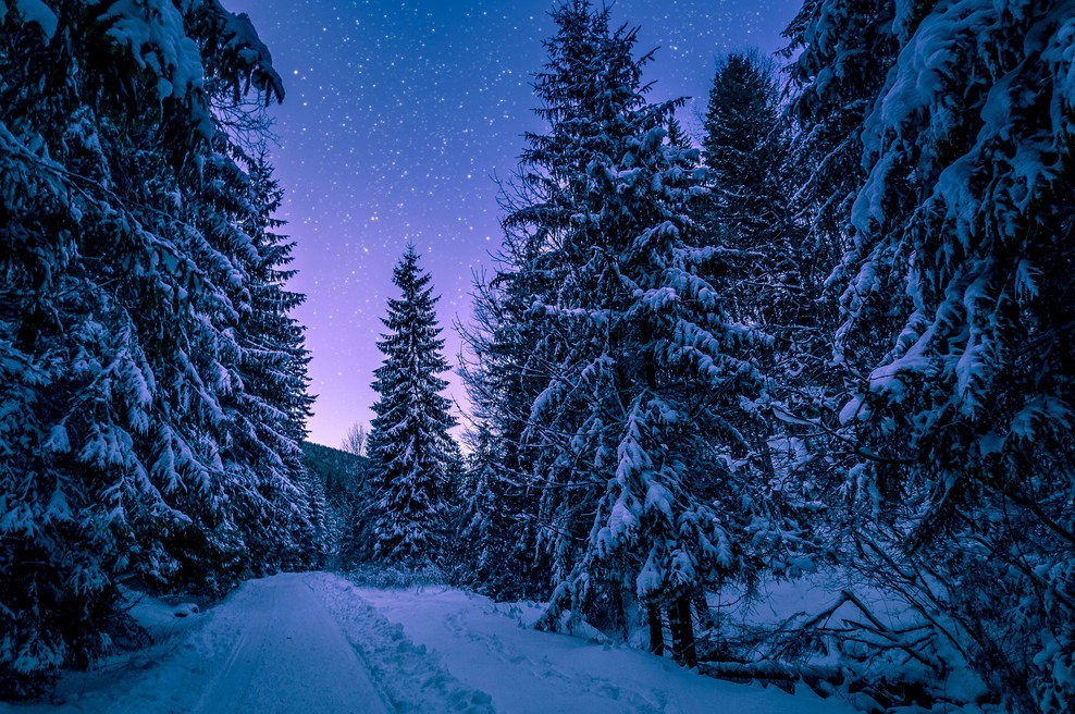 Tedenski horoskop od 20. do 26. 1. 2020 (foto: Pexels)