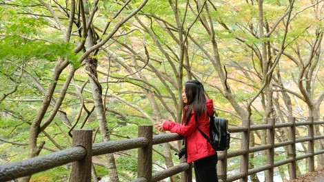 O šinrin-joku ali japonski gozdni kopeli