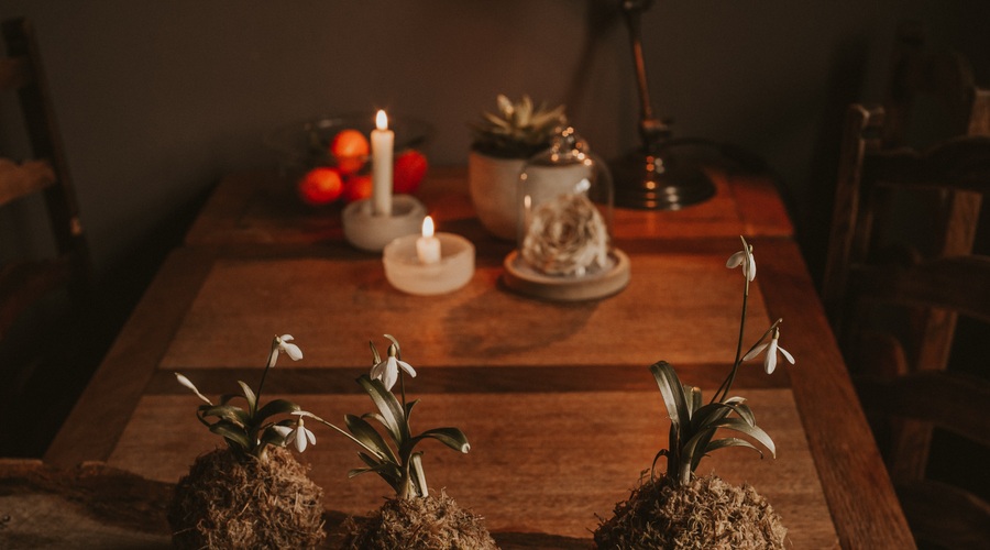 Kitajski horoskop od 17. do 23. 2. 2020 (foto: Pexels)