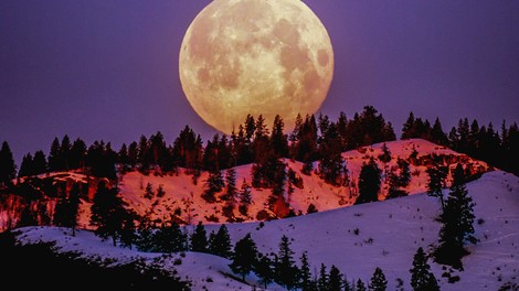 Super polna luna v devici (9. marec): SPREJMITE ŽIVLJENJE