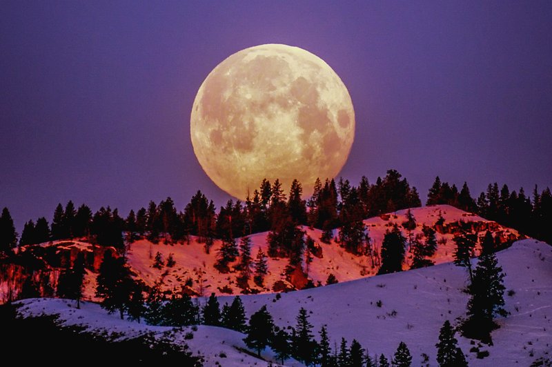 Super polna luna v devici (9. marec): SPREJMITE ŽIVLJENJE (foto: Pexels)