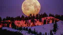 Super polna luna v devici (9. marec): SPREJMITE ŽIVLJENJE