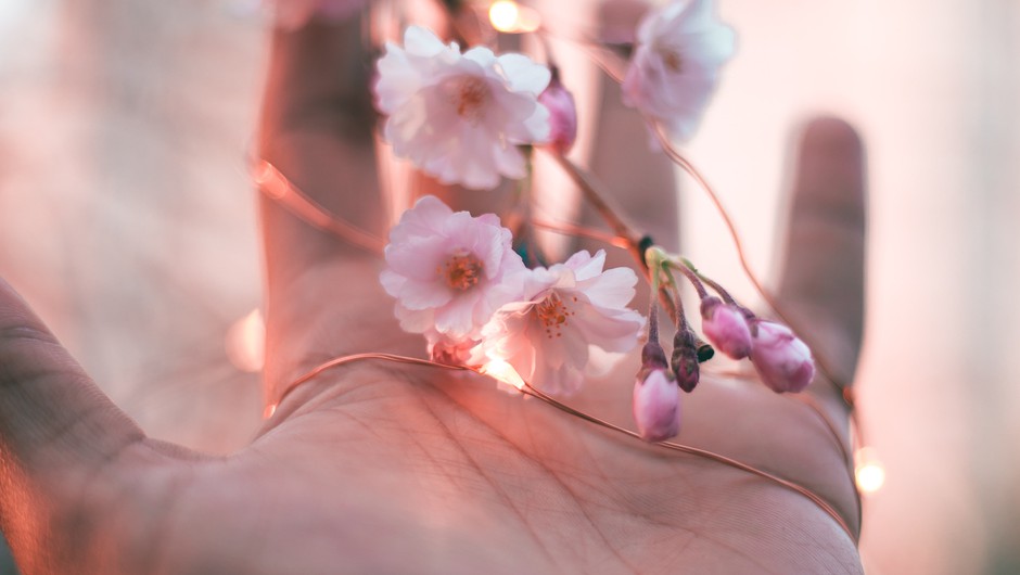 Tedenski horoskop od 16. do 22. 3. 2020 (foto: Pexels)