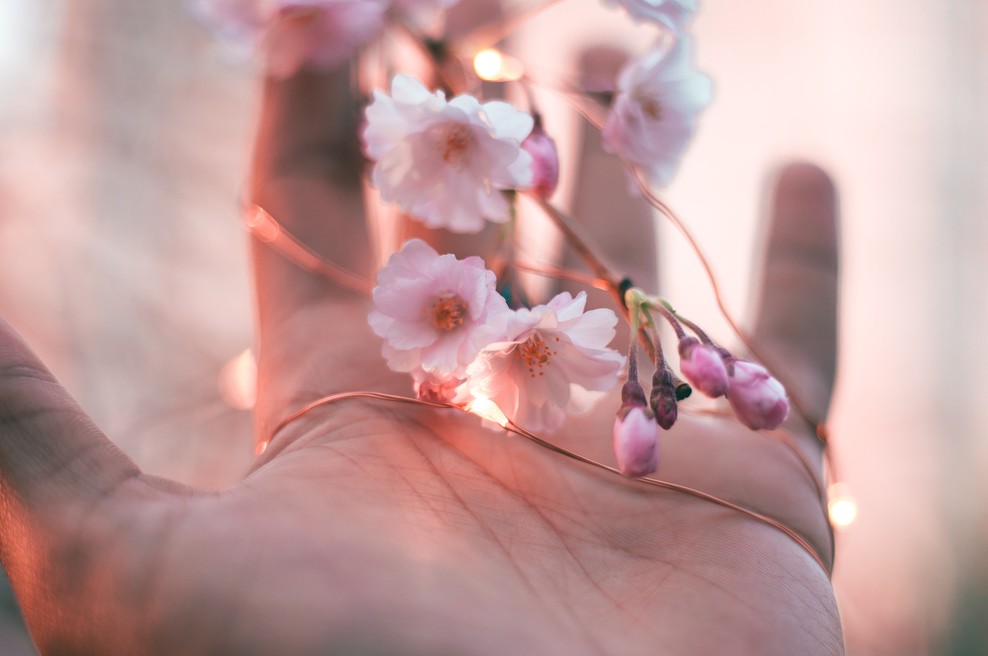 Tedenski horoskop od 16. do 22. 3. 2020 (foto: Pexels)