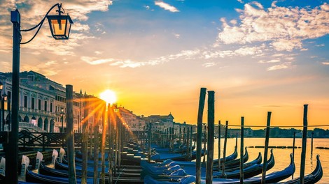 V Benetkah se v vodi spet vidijo ribe!