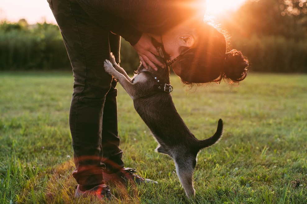 Ni težave, ki je dovolj ljubezni ne bi moglo premagati (foto: Pexels)