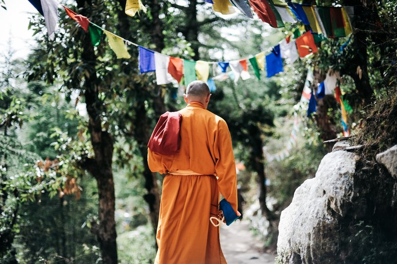 Budisti učijo, da ima umik v samoto številne pozitivne učinke (foto: Pexels)