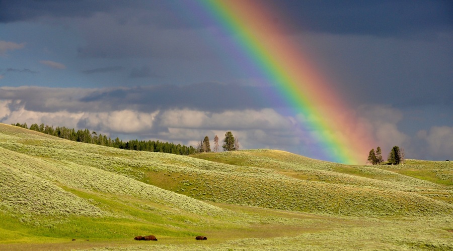 Barvna meditacija: Naravnajte se na višje frekvence z barvami (foto: Unsplash.com)