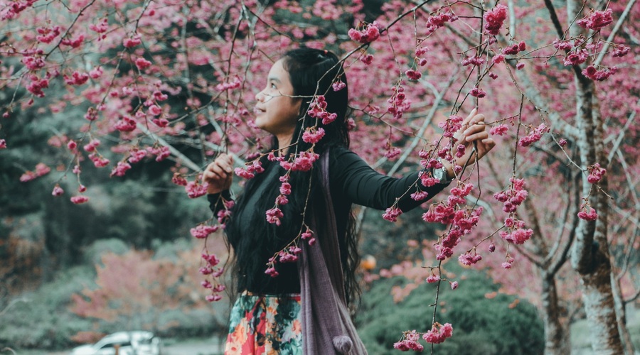 Kitajski horoskop od 7. do 12. 3. 2020 (foto: Unsplash.com)