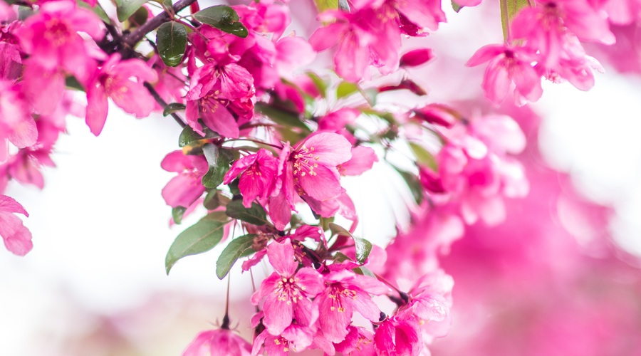 Numeroskop: Karmični teden meseca aprila bo rukal (foto: Unsplash.com)