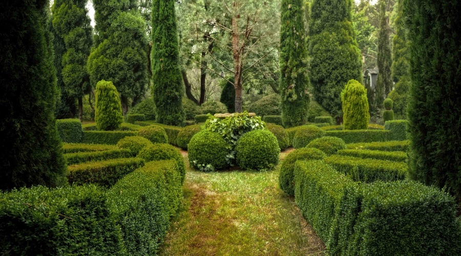 Zgodba, ki razkrije pomembno skrivnost življenja (foto: Unsplash.com)