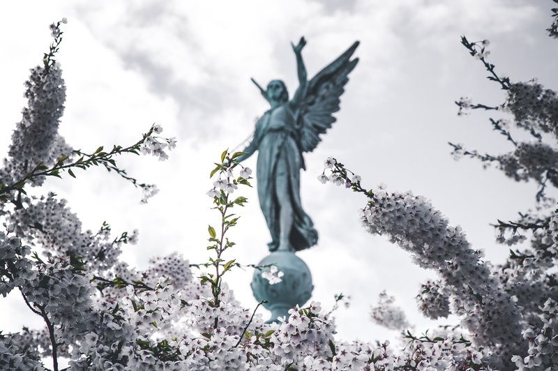 Kako vam v času sprememb lahko pomagajo angeli? (foto: Unsplash.com)