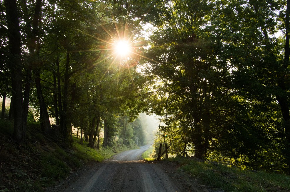 Tedenski horoskop od 27. 4. do 3. 5. 2020 (foto: Unsplash.com)