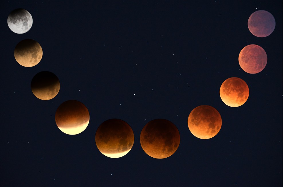 Kako bo sezona mrkov vplivala na nas? (foto: Unsplash.com)