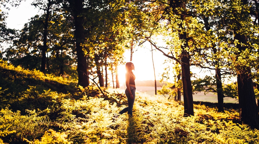 Pred nami je izjemno pester teden! (foto: Pexels)