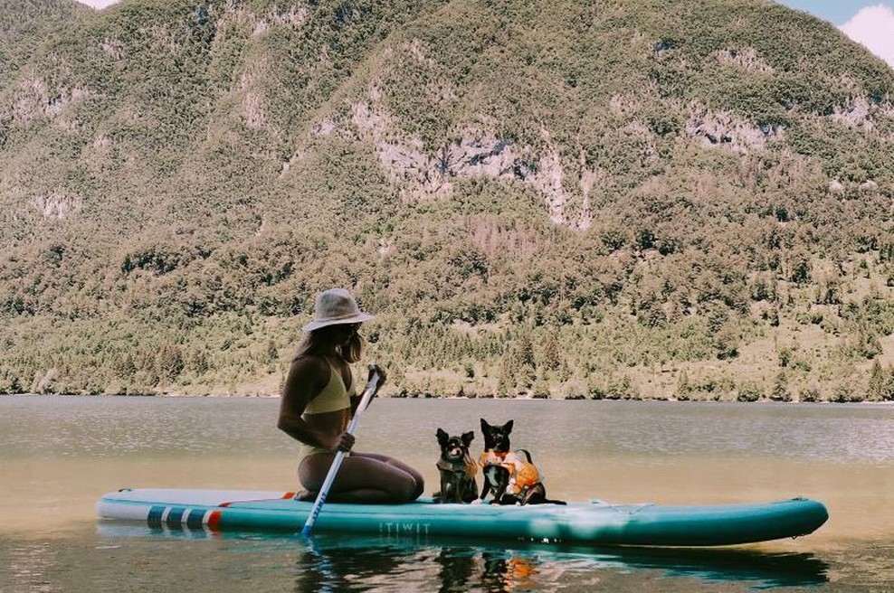 Pasji Kamp v Bohinju - dogodek za vse aktivne štirinožce! (foto: Tjasa Dobravec)