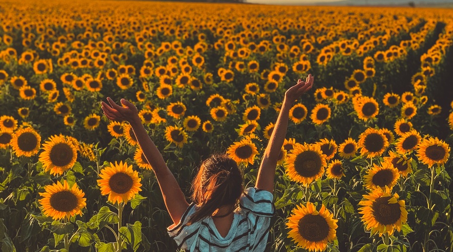 Napoved za ta teden: Samozavest, povišan ego in iskrenost (foto: Unsplash.com)