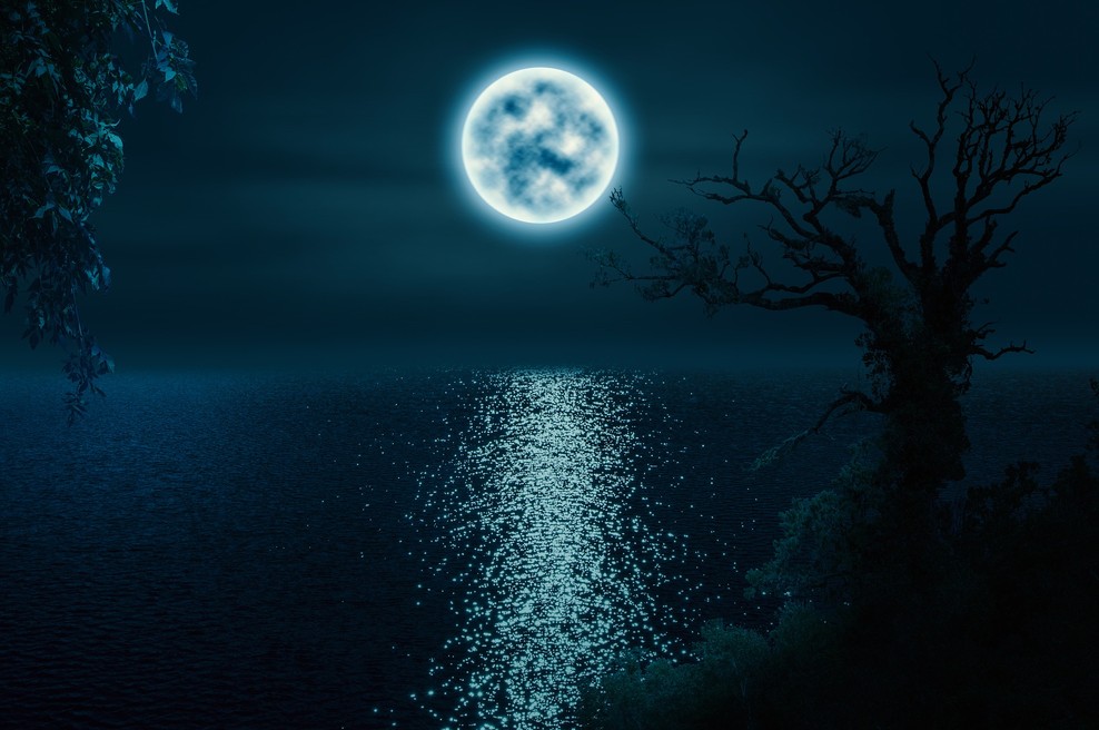 Borut Lesjak - Celjenje: Dar lune - celodnevna delavnica (foto: pixabay)