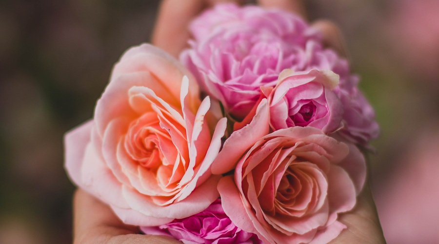 Kitajski horoskop od 21. do 27. 9. 2020 (foto: pexels)