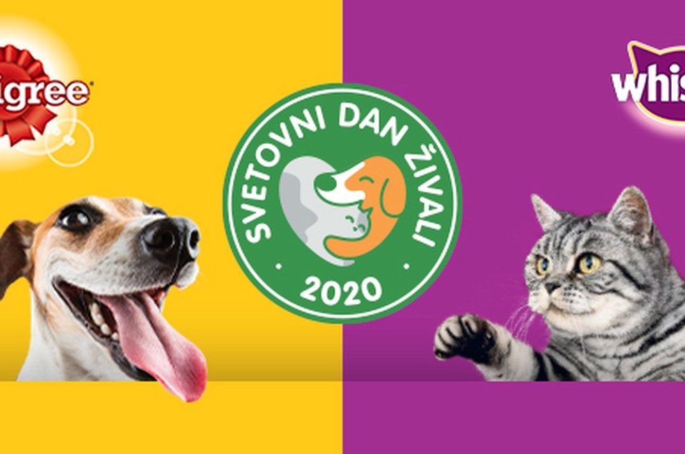 4. oktobra smo obeležili svetovni dan živali: bodimo odgovorni do njih! (foto: PROMO)