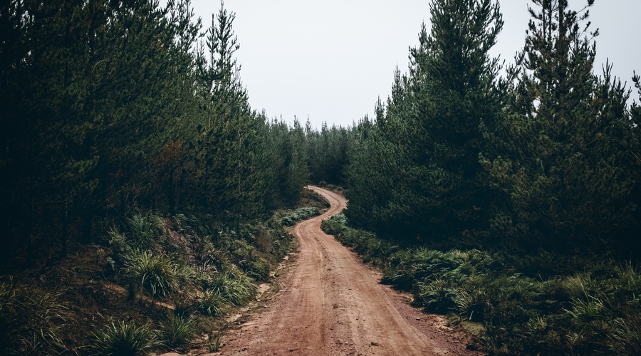10 znakov, da je vaša duša na pravi poti (foto: pexels)